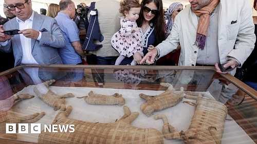 Rare cache of mummified animals unveiled in Egypt