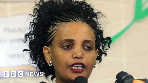 Birtukan Mideksa: Ethiopia's electoral board chairperson