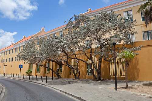 Celebrating Curaçao’s African Roots Through Culture And Community