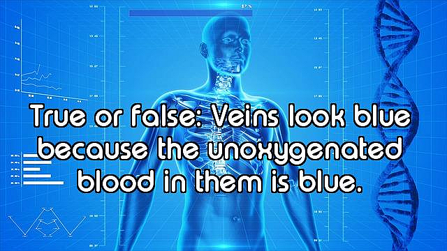 How Well Do You Know the Human Body?