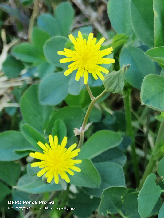 التصوير الفوتوغرافي