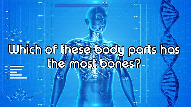 How Well Do You Know the Human Body?
