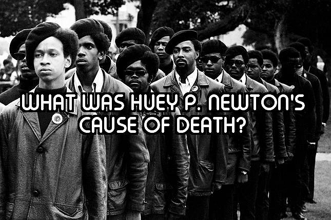 How Well Do You Know The Black Panther Party