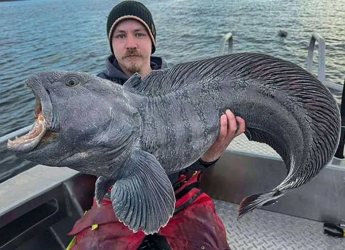 I would refer to this not as huge but humongous.