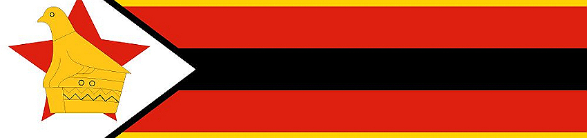 Zimbabwe Networking Hub